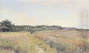 Flad Groft Over Ragemarkomradet Flad Groft Over Ragemarkomradet