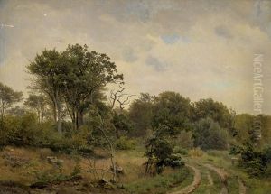 Kleine Waldlichtung Bei Hellebaek (parti Ved Hellebaek) by Anders Christian Lunde