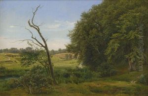 Weite Hugellandschaft Mit Baumen In Nordseeland Im Sommer by Anders Christian Lunde