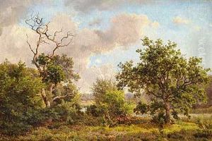 En Sommerdag Ved Bollemosen