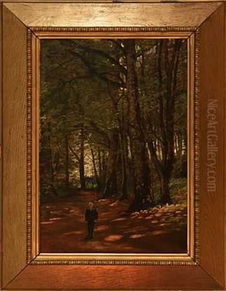 Forest Scene With A Boy - view 1