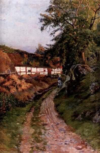 Skanelanga I Kvallssol - view 1