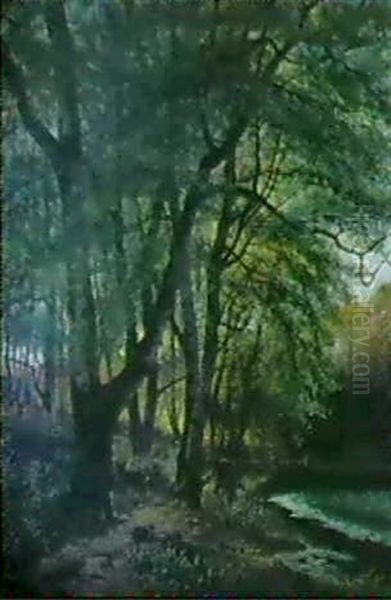 Bokskog Med Radjur Vid Parkdamm - view 1