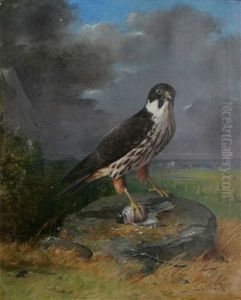 Rovfagel Med Byte by Theodor Lundh