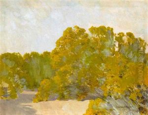 A Grove Of Trees In The Sun by Fernand Harvey Lungren