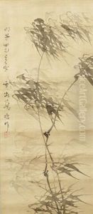 Bamboo Trees Bamboo Trees