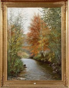Riviere En Foret Riviere En Foret