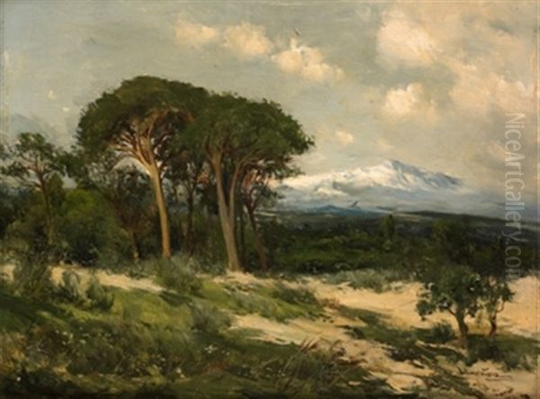 Paisaje Con Motanas Nevadas Al Fondo - view 1