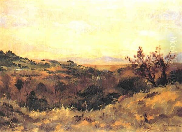 Paisaje De La Sierra De Guadarrama - view 1