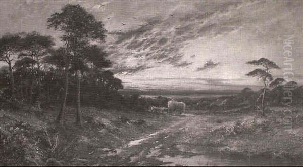 Paisaje De Atardecer - view 1