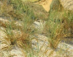Marehalm Ved Skagen