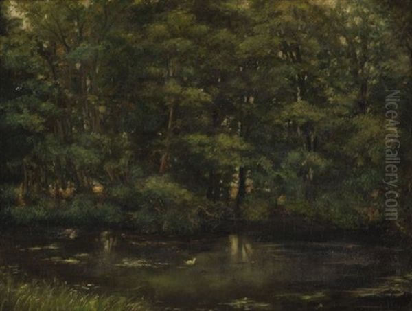 Etang Sous Bois - view 1