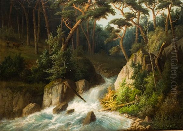 Cerfs En Bordure De Riviere - view 1