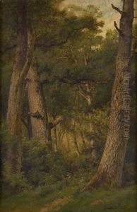 Sous-bois Ensoleille by Gerard Joseph Adrian van Luppen