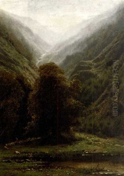 Effet De Brouillard - view 1