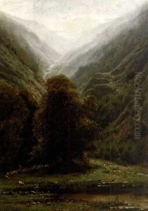 Effet De Brouillard