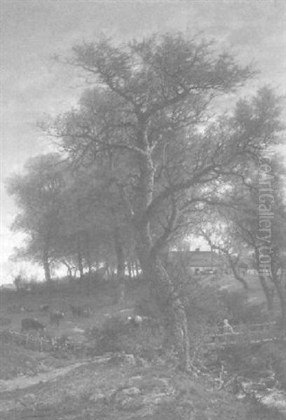 Wiesenlandschaft Mit Weidenden Kuhen - view 1