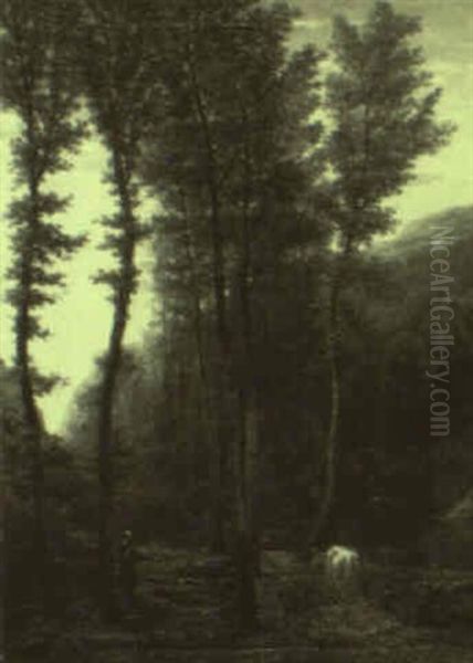 Landscape - view 1
