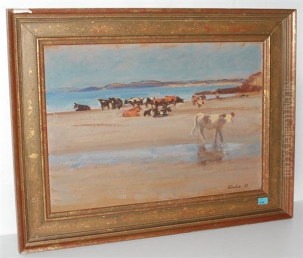 Kuhherde Am Strand - view 1
