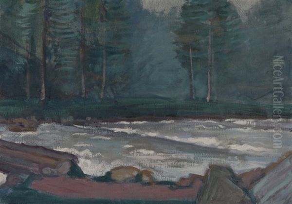 Flussufer Mit Wald - view 1