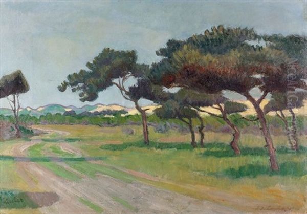 Landschaft Mit Pinien - view 1
