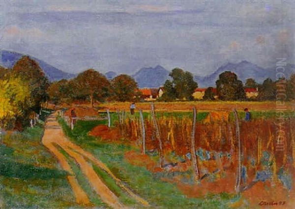 Tessiner Landschaft - view 1