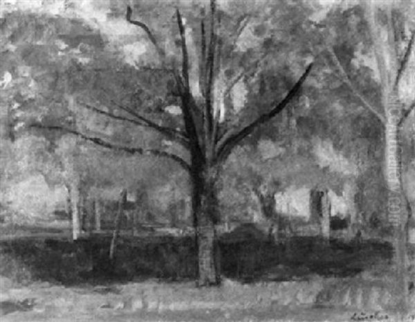 Herbstliche Parklandschaft - view 1