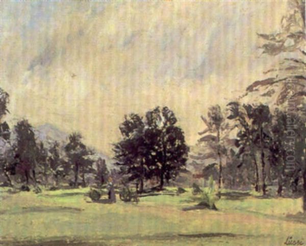 Landschaft Im Tessin - view 1