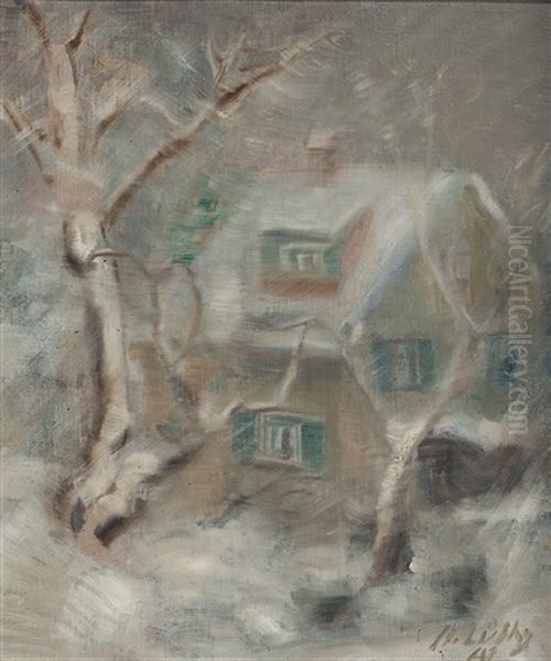 Kleines Haus In Schneebedeckter Landschaft - view 1
