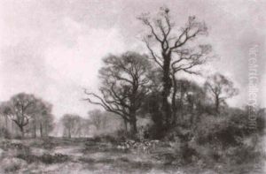 Waldlandschaft Unter Bewolktem Himmel Waldlandschaft Unter Bewolktem Himmel
