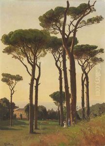 Italienischer Pinienhain Am Meer (olstudie)