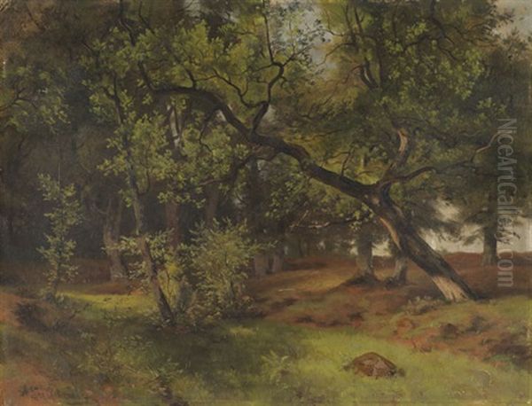 Landschaft Bei Aumuhle - view 1
