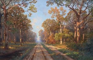 Evening In The Sachsenwald