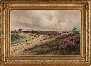 Einsame Heide