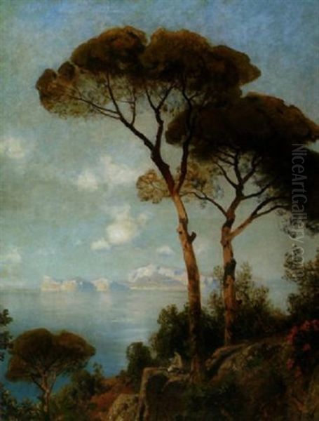 Blick Auf Capri In Der Abendsonne - view 1