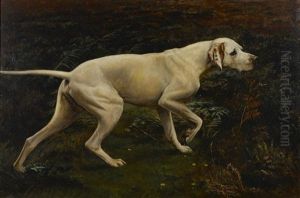 A Pointer On A Moor