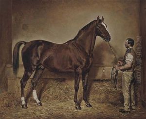 Lord Exeter's Stallion Stockwell Held By His Groom In A Loose Box by Charles Augustus Henry Lutyens