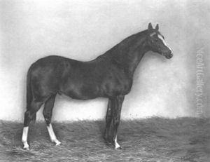 "galinule," By "isonomy" Out Of "moorhen" by Charles Augustus Henry Lutyens