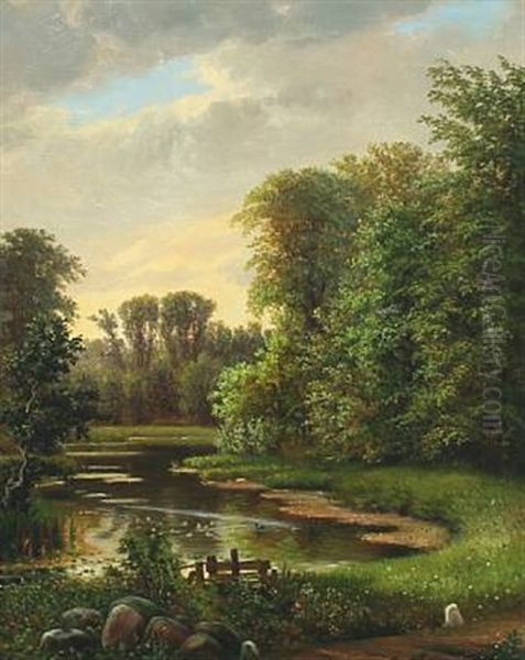 Scenery From A Forest Lake With Swimming Ducks And Ducklings - view 1
