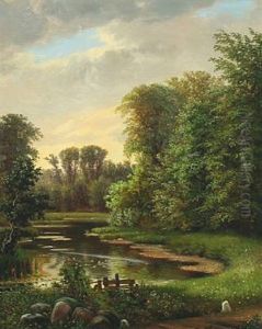 Scenery From A Forest Lake With Swimming Ducks And Ducklings