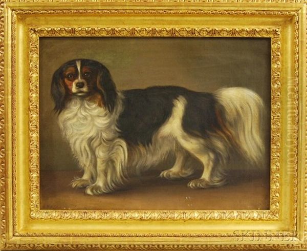 Portrait Of A King Charles Spaniel - view 1