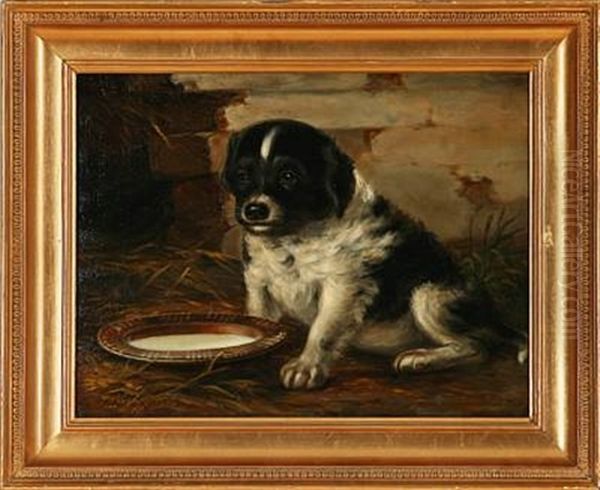 A Puppy - view 1