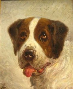 Sankt Bernhards Hund