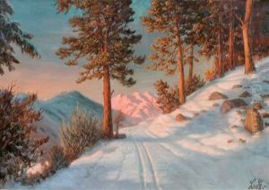 Chemin De Montagne Sous La Neige