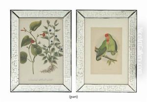 Twelve Colour Wood Engravings From William Thomas Greene's 'parrots In Captivity' by Alexander Francis Lydon
