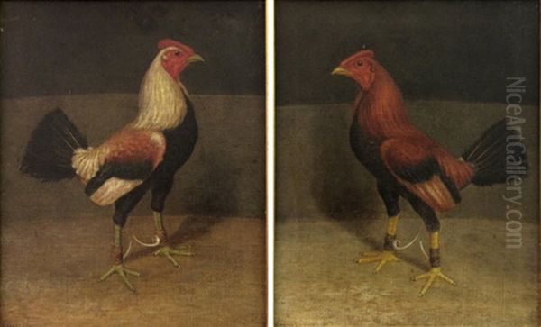 Gamecocks (pair) - view 1