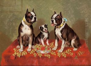 Boston Terrier by Harry Lyman