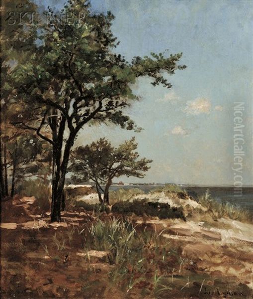 Pines And Shore - view 1