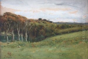Prairie Et Arbres