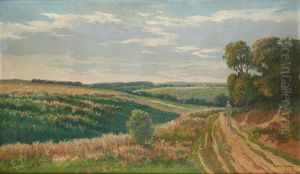 Promeneur En Ete Promeneur En Ete